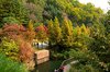 Hwadam Botanic Garden di Gwangju, Gyeonggi-do