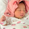 Baru Lahir, Ini 7 Potret Bayi Lucu Rianti Cartwright yang Menggemaskan