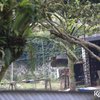 9 Potret Rumah Gideon Tengker Ayah Nagita Slavina di Daerah Puncak Bogor, Sederhana dan Nampak Asri