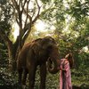 Lagi Liburan di Bali, Ini Potret Ashanty Bareng Gajah yang Kelihatan Akrab Banget!