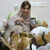 Dedikasi Penuh, Wanita Ini Rawat dan Jadikan Rumahnya untuk Tempat Tinggal Ratusan Kucing Liar
