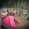 7 Potret Keseruan Keluarga Darius Sinathrya dan Donna Agnesia Camping di Tengah Hutan, Adem Banget!