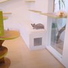 Potret Rumah Raditya Dika yang Baru Direnovasi, Tempat Mainan Kucing Jadi Sorotan
