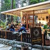 Estetik Abis, Ini lho 10 Kafe Hits Indonesia di Tengah Hutan yang Cocok Buat Nongkrong Bareng Teman