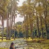 9 Potret Taman Paling Angker di Pulau Jawa, Ada yang Sampai Kedengeran Alunan Gamelan Mistis!