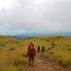 Serasa di Luar Negeri, Ini 10 Gunung dengan Padang Savana Terindah di Indonesia
