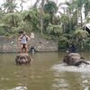 9 Potret Keseruan Ammar Zoni dan Irish Bella Menunggangi Gajah di Bali