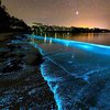 Bikin Takjub, Ini Potret Pantai Glow In The Dark yang Ada di Jervis Bay