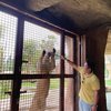 6 Potret Keseruan Kesha Ratuliu dan Adhi Permana Honeymoon di Bali Zoo sampai Kasih Makan Singa