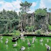 Surganya Hewan Liar, Ini 9 Kebun Binatang Terbaik di Indonesia!