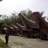 Bikin Adem, Ini 5 Wisata Alam yang Ada di Tana Toraja