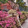 8 Wisata Instagramable yang Ada di Singapore, Dijamin Bikin Kangen