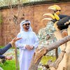 Raline Shah Bagikan Momen Kunjungi Private Farm Dubai, Ada yang Lagi Makan Bareng Jerapah