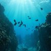 Sulit Terjamah Manusia, Ini 7 Palung Laut Terdalam yang Ada di Indonesia