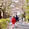 Punya Durasi Puasa Panjang, 7 Tempat Wisata di Tokyo Ini Asyik Buat Spot Ngabuburit
