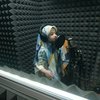 7 Potret Arsy Hermansyah Lagi Rekaman Lagu, Style Hijabnya Gemesin Banget
