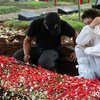 Momen Pemakaman Jane Shalimar, Tangis Muhammad Zarno Iringi Kepergian Sang Ibu