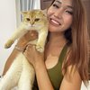 Lucinta Luna Adopsi Kucing Sultan Seharga Puluhan Juta, Namanya Bikin Tepok Jidat