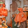 13 Potret Perayaan Ulang Tahun Anak Tasya Farasya, Bertema Buah Jeruk yang Serba Orange!