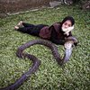Mujur, Begini Nasib Gadis Bandung yang Pamer Dicium King Kobra 4 Meter