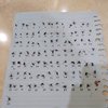 Gabut Tak Tertolong, Beberapa Netizen Ini Koleksi Nyamuk Mati Dengan Sangat Rapi