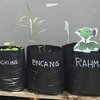 12 Aksi Kreatif Para Petani, Bukti Sah kalau Indonesia Negara Agraris