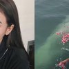 10 Momen Pelarungan Abu Jenazah Laura Anna ke Laut, Diantarkan oleh Keluarga dan Sahabat