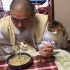 12 Momen Kucing Waktu Makan Bareng Manusia, Kerukunan yang Patut Dipelihara