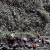 Intip Potret Petualangan Awkrin di Jawa Timur Bareng Kekasihnya, Susuri Lembah Menuju Air Terjun