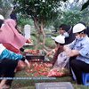 7 Momen Keluarga Olga Syahputra Ziarah ke Makam Untuk Peringati Hari Ulang Tahunnya