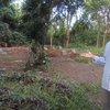 15 Tahun Berlalu, Begini Kondisi Terbaru Makam Taufik Savalas yang Banyak Ditumbuhi Rumput Liar