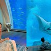 Liburan ke Singapura, Ini Potret Titi Kamal Menginap di Hotel Bawah Laut Bersama Ikan-Ikan