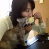 Potret Kucing Rusuh Rebut Makanan Majikan, Kelakuannya Bikin Gemes