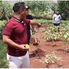 Jadi Petani, Ini 15 Potret Kebun Sayur Narji yang Cukup Luas Ditanami Terong Singkong Hingga Ubi Jalar
