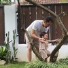 Jadi Ayah Idaman, Ini Potret Hanung Bramantyo Ajari Anak Bungsunya Manjat Pohon Sampai Hujan-Hujanan