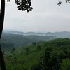 7 Potret Alas Gumitir Banyuwangi, Alas yang Ramai Diperbincangkan Sebagai Lokasi Asli Film KKN di Desa Penari