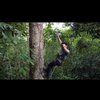The Real Tarzan, Ini 10 Pesona Andrew Kalaweit Pencinta Alam yang Tinggal Sendiri di Hutan Kalimantan