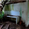 Tujuh Tahun Ditinggalkan dan Terbengkalai, Begini Kondisi Rumah Singgah yang Disebut Milik Ahmad Dhani