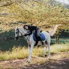 Potret Dara Arafah yang Pilih Berhijab, Tapi Tetap Suka Olahraga, Mulai Berkuda Sampai Menembak