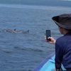 10 Potret Indah Pematasari Babymoon ke Pulau Ular, Asyik Main di Kapal Ketemu Lumba-lumba