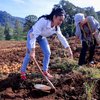 Potret Krisdayanti Ajak Amora dan Kellen Bertani Kentang di Kota Batu, Netizen Banjiri Pujian