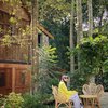 Mencari Suasana Sunyi dan Tenang, Ini 6 Selebriti yang Memiliki Rumah di Tengah Hutan