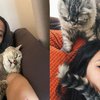 7 Artis Indonesia Pecinta Kucing, Mulai Berbulu Tebal Sampai Tak Berbulu Sama Sekali