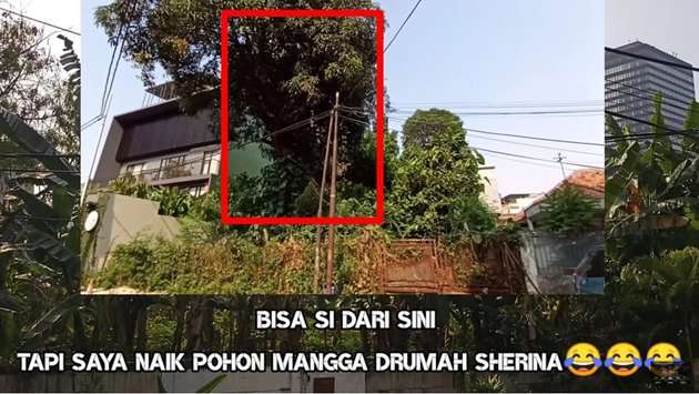 7 Potret Konsidi Rumah di Film PETUALANGAN SHERINA yang Digunakan 20 Tahun Lalu, Kini Terbengkalai dan Sempat Rubuh!