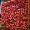 Bertabur Bunga Mawar Merah, Ini 12 Potret Perayaan Ulang Tahun Syahrini yang ke-40 yang Super Mewah!