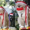 Gak Mau Kalah Sama Majikannya, Ini 10 Potret Lucu Kucing Ikut Lomba 17 Agustusan