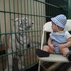 Potret Rayyanza Foto Bareng Selen Harimau Putih Milik Alshad Ahmad, Gak Nangis Justru Anteng Tatap-tatapan