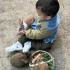 10 Potret Keluarga Zaskia Sungkar dan Irwansyah Liburan ke Bromo, Baby Ukkasya Terlihat Asyik Main Bareng Kelinci