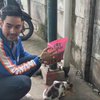 Deretan Artis Pencinta Hewan, Ariel Tatum dan Robby Purba sampai Lakuin Street Feeding Kucing Jalanan