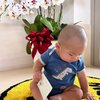 Botak Pelontos, Ini 10 Potret Baby Izz yang Makin Menggemaskan di Usia 6 Bulan